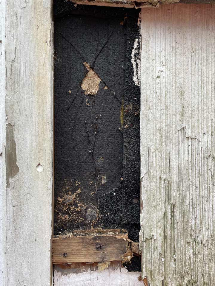 Closeup of siding damage from pests