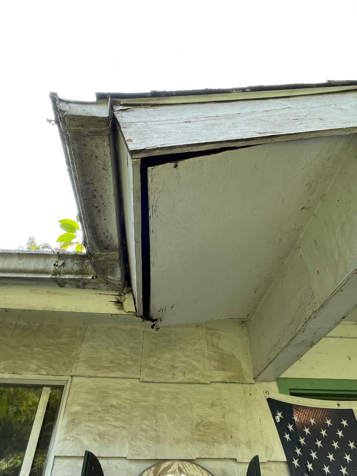 Pest damage to wood below edge of roof