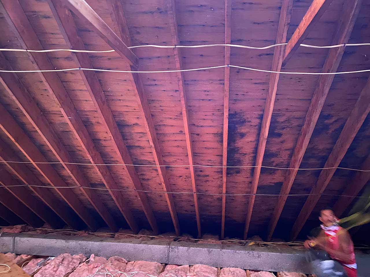 Mold on wooden roof in attic